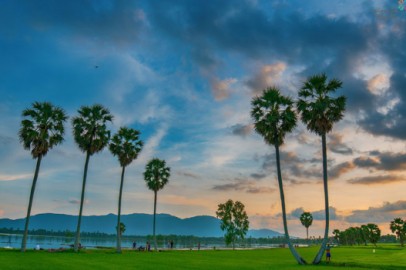 Mua rượu dừa ở đâu ngon và đảm bảo chất lượng tại An Giang