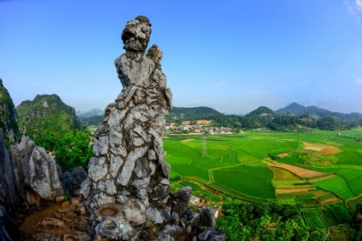 Cơ sở cung cấp rượu dừa giá sỉ tốt nhất tại Lạng Sơn
