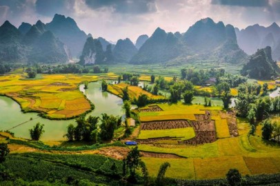 Mua rượu dừa ở đâu ngon và đảm bảo chất lượng tại Cao Bằng