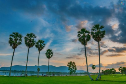 Cơ sở cung cấp rượu dừa giá sỉ tốt nhất tại An Giang