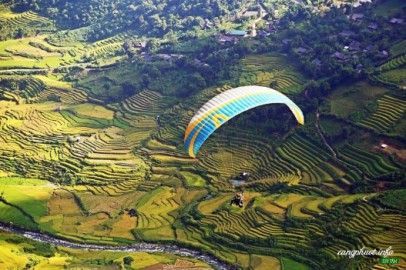 Cơ sở cung cấp rượu dừa giá sỉ tốt nhất tại Yên Bái