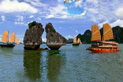 Cơ sở cung cấp rượu dừa giá sỉ tốt nhất tại Quảng Ninh