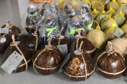 Rượu dừa Bến Tre chính là hương vị của Miền Tây