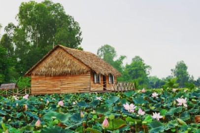 Cơ sở cung cấp rượu dừa giá sỉ tốt nhất tại Đồng Tháp