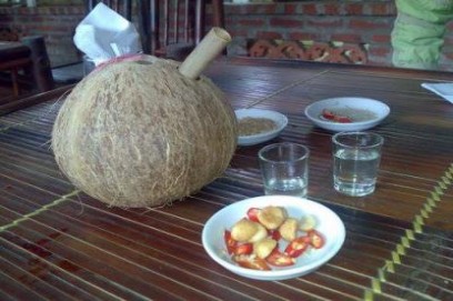 Cách bảo quản và sử dụng rượu dừa bến tre ngon và họp lý nhất