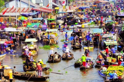 Mua rượu dừa ở đâu ngon và đảm bảo chất lượng tại Vĩnh Long