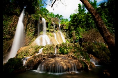 Cơ sở cung cấp rượu dừa giá sỉ tốt nhất tại Sơn La