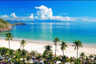 Mua rượu dừa ở đâu ngon và đảm bảo chất lượng tại Bà Rịa - Vũng Tàu